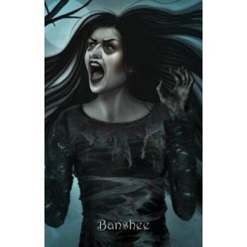 The Witch's Oracle 2nd Edition kortos Schiffer Publishing